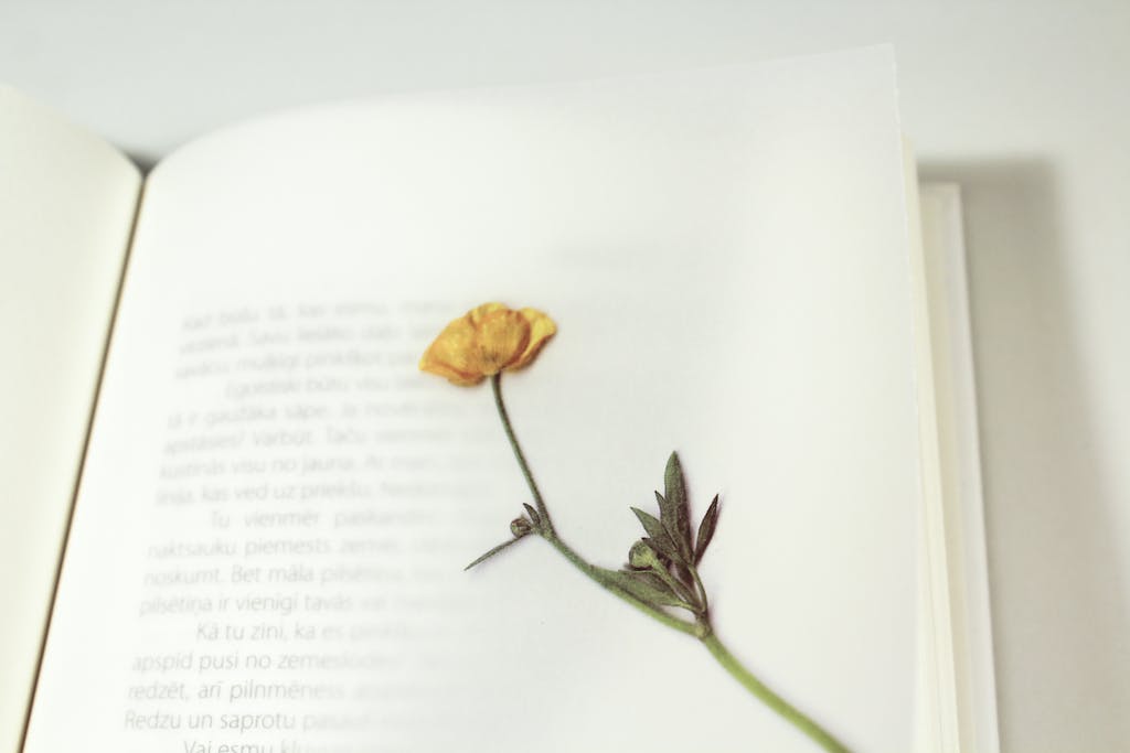 A dried flower used as a delicate bookmark between open book pages.